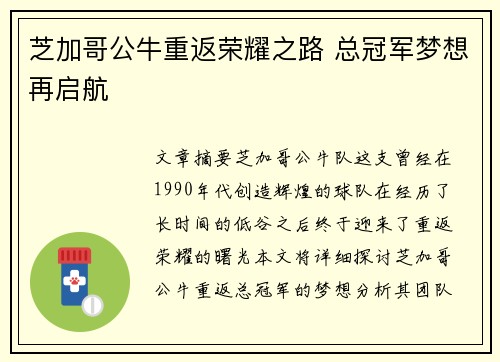 芝加哥公牛重返荣耀之路 总冠军梦想再启航
