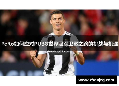 PeRo如何应对PUBG世界冠军卫冕之路的挑战与机遇